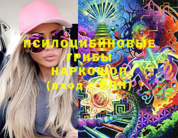 Альфа ПВП Абаза
