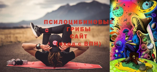 Альфа ПВП Абаза