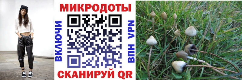 сколько стоит  kraken ссылки  Псилоцибиновые грибы Cubensis  Пыталово 